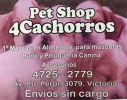 Pet Shop 4 Chachorros Victoria - San Fernando